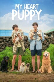 My Heart Puppy 2023 on netflix