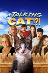 A Talking Cat!?! 2013 on netflix