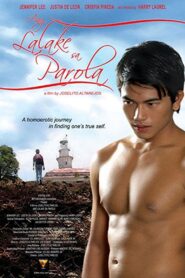 The Man in the Lighthouse 2007 on netflix