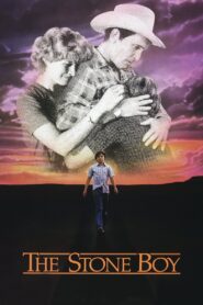 The Stone Boy 1984 on netflix