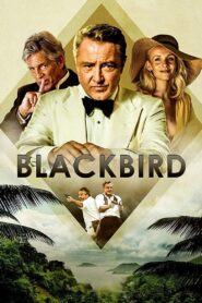 Blackbird 2022 on netflix