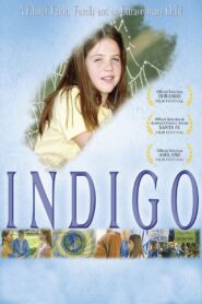 Indigo 2003 on netflix