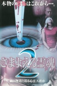 Wandering Souls 2: Exploring Haunted Spots with Oda Nobunaga 1999 on netflix
