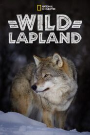 Wild Lapland 2020 on netflix