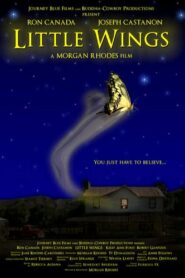 Little Wings 2007 on netflix