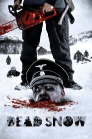 Dead Snow 2009 on netflix