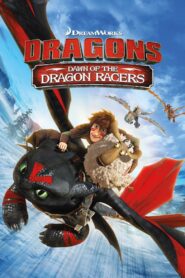 Dragons: Dawn of the Dragon Racers 2014 on netflix