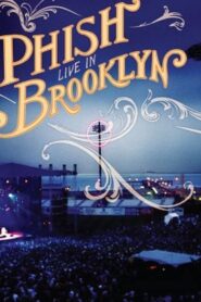 Phish: Live In Brooklyn 2004 on netflix