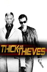 Thick as Thieves 2009 on netflix