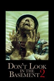 Don’t Look in the Basement 2 2015 on netflix