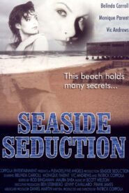 Seaside Seduction 2001 on netflix