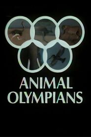 Animal Olympians 1980 on netflix