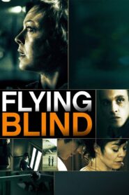 Flying Blind 2013 on netflix