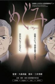 Megumi 2008 on netflix