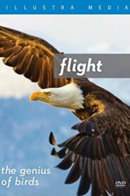 Flight: The Genius of Birds 2013 on netflix