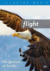 Flight: The Genius of Birds 2013 on netflix