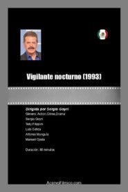 Vigilante nocturno 1993 on netflix