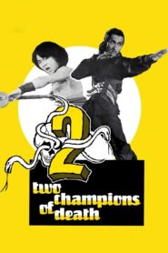 Two Champions of Shaolin 1980 on netflix