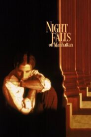 Night Falls on Manhattan 1997 on netflix
