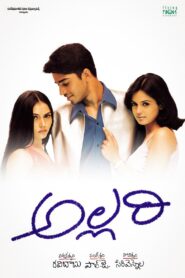 Allari 2002 on netflix