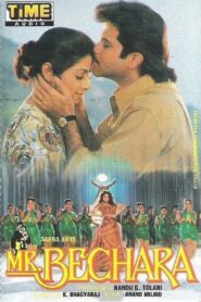 Mr. Bechara 1996 on netflix