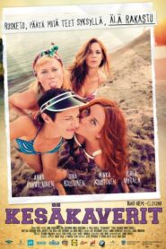 Summertime 2014 on netflix