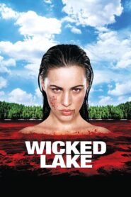 Wicked Lake 2008 on netflix