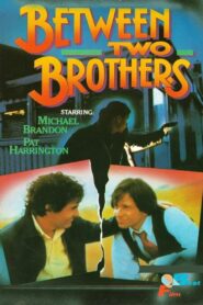 Between Two Brothers 1982 on netflix