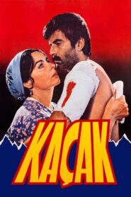 Kaçak 1982 on netflix