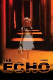 The Echo 2004 on netflix