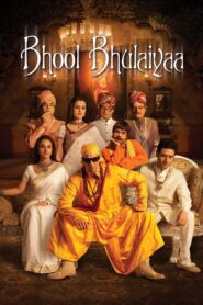 Bhool Bhulaiyaa 2007 on netflix