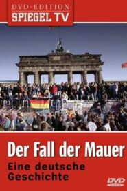 Der Fall der Mauer 2005 on netflix