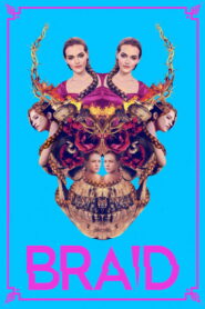Braid 2019 on netflix