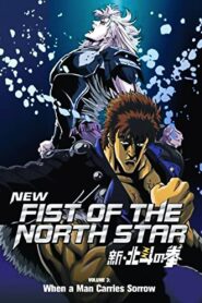 New Fist of the North Star: When a Man Carries Sorrow 2004 on netflix
