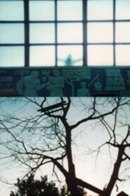 Le temps qu’il fait 1997 on netflix