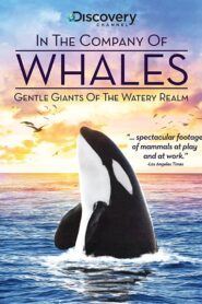 In the Company of Whales 1991 on netflix