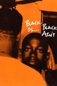 Black Is… Black Ain’t 1994 on netflix