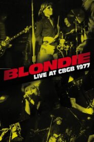 Blondie: Live at CBGB 1977 2014 on netflix