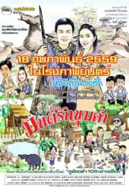 The Charm of Khumkham 2016 on netflix