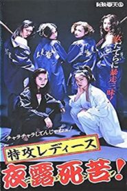 特攻レディース　夜露死苦 1994 on netflix
