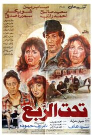 Under a Quarter 1991 on netflix