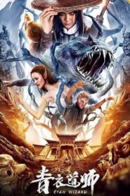 Cyan Wizard 2019 on netflix