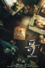 Brother 2019 on netflix