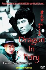 Dragon in Fury 2004 on netflix