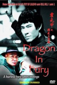 Dragon in Fury 2004 on netflix