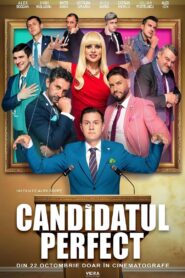 The Perfect Candidate 2024 on netflix
