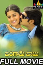 Bangaru Babu 2009 on netflix