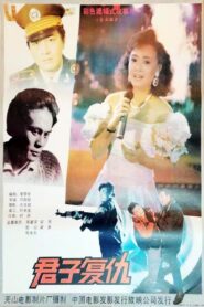 君子复仇 1991 on netflix