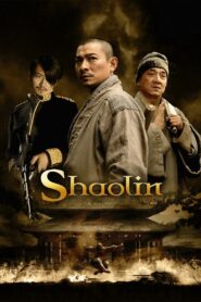 Shaolin 2011 on netflix