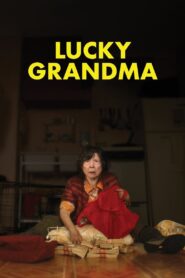 Lucky Grandma 2020 on netflix